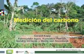 Medición del carbono - The Forest Carbon Partnership … · Diseño de parcelas anidadas para la toma de muestras. REDD+ Parámetros importantes para la biomasa de árboles sobre