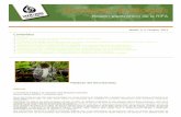Forestería Análoga: una guía prácticaanalogforestrynetwork.org/.../esp/pdf/Boletin-RIFA-No4-oct2012.pdf · Los resultados que se presentan fueron obtenidos por los autores desde