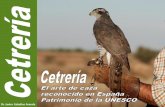 Dr. Javier Ceballos Aranda - avium.es · La Cetrería es un arte cinegético plenamente sostenible con el medio ambiente. Se define como la caza con aves de presa de animales que