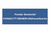 FdStilFondo Sectorial CONACYT-SENER-Hid …gestion.cic-ctic.unam.mx/hidrocarburos5.pdf · petróleo crudo pesado. Conformación del Comité y la Comisión Comité Técnico (9 i b