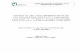 La caracterización de los agentes (radiaciones …santamargarita.gov.co/intranet/pdf/vigilancia/S.V.E. RADIACIONES... · Por el marco legal existente en el país y las recomendaciones
