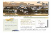 Doñana, - bibliotecamedioambiente.files.wordpress.com · Medio Ambiente Desarrollo Sostenible ... 100 gestos para salvar el mundo Johan Tell (2009) ... fragilidad de nuestro entorno