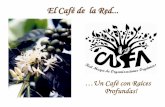 …Un Café con Raíces Profundas! - Centro de Agroecología San Francisco de … · 2008-04-01 · aplicando abono orgánico compuesto, haciendo pasar toda la materia orgánica que
