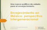 Envejecimiento en México: perspectiva intergeneracional · envejecimiento y vejez, en relación con la persona mayor en condición de vulnerabilidad y aquellas que son víctimas