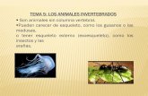TEMA 5: LOS ANIMALES INVERTEBRADOS Son animales … · Tienen el cuerpo en forma de saco y perforado por numerosos poros. Son animales filtradores que viven fijos al sustrato. ...