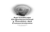 Aprendizaje Organizacional y Gestión del Conocimientovirtualnet2.umb.edu.co/virtualnet/archivos/open.php/104/21000/ET... · APRENDIZAJE ORGANIZACIONAL Y GESTIÓN DEL CONOCIMIENTO