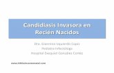 Candidiasis Invasora en Recién Nacidosmanuelosses.cl/cabl/candidiasis_nn.pdf · C.tropicalis 3 10,3 S S S C.guilliermondii &2 6,9 S ... •Gram, directo de hongos ... Orina completa,