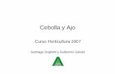 Cebolla y Ajo 2007 - olericultura.files.wordpress.com · promedio de los cultivares Senshyu y Rijnsburger (Brewster, 1983). 0.00 0.05 0.10 0.15 0.20 6 8 10 12 14 16 18 20 Fotoperíodo
