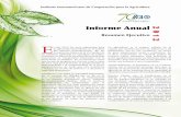 Informe Anual - iica.int · técnicos para la innovación, los agronegocios, la sanidad agropecuaria, el desarrollo territorial, la ... exportación, gestión empresarial, operación