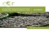 N 11 - conservation-strategy.org · Diciembre 2015 El mercado para productos derivados de asaí, majo, castaña y copoazú en las ciudades de La Paz, Riberalta y Cobija DOCUMENTO