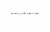 SEMIOLOGÍA URINARIA - …semiologiahnc.webs.fcm.unc.edu.ar/files/2016/08/2017-Semio_renal... · CONTENIDOS • REPASO DE LO NORMAL: • Formación de orina • Eliminación de orina