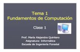 Tema 1 Fundamentos de Computación - …webdelprofesor.ula.ve/forestal/mariaq/archivos_guias_apuntes/Tema1... · Fundamentos de Computación Clase 1 Prof. María Alejandra Quintero
