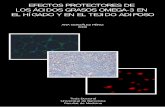 EFECTOS PROTECTORES DE LOS ÁCIDOS …diposit.ub.edu/dspace/bitstream/2445/42263/1/AGP_TESIS.pdf · Extracción de RNA 137 1.1.- TRIzol 137 1.2.- RNAqueous 138 2.- Síntesis de cDNA