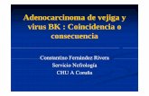 Ad i d jiAdenocarcinoma de vejiga y virus BK ... · Anticalcineurínicos Tratamiento antirechazo InfeccionesTratamiento antirechazo.Infecciones RtReceptor: Dt Edad Raza blanca Di