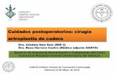 Cuidados postoperatorios: cirugía artroplastia de cadera · SARTD-CHGUV Sesión de Formación Continuada Valencia 14 de Mayo de 2013 Cuidados postoperatorios: cirugía artroplastia