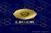 | Papel Ligero · PLAN DE ACCIÓN Feb 2019- May 2019 Apuestas en línea de deportes Liger y lanzamiento del Casino en línea. Aug 2018 Registro de intercambios
