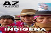AZ - Archivo Chile Documentación de Historia Político ... · indígenas y sindicales de la Confederación Indígena del Oriente Boliviano (CIDOB) y las seis Federaciones ... principales