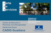 Intelectual Grave CADIG Guadiana - castillalamancha.es · - Orden de 17-02-99, de la Consejería de Bienestar Social, por la que se regula el procedimiento para la tramitación de