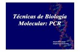 Técnicas de Biología Molecular: PCR - Conselleria de … (1)_2010… · para la extracción de ADN El procedimiento ideal de lisis debe tener la fuerza necesaria p ara romper el