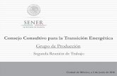 Consejo Consultivo para la Transición Energética - … · Pemex Cogeneración, Fondo Mundial para la Naturaleza (WWF) y GIZ 2.1,2.2, 2.3, 2.4 y 2.5 . G. Reducción de las Barreras