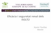 Eficàcia i seguretat renal dels iSGLT2 - gestor.camfic.catgestor.camfic.cat/Uploads/ITEM_8475_FORM_7157.pdf · x Sustrato Distribución en tejidos humanos SGLT-1 Glucosa y galactosa