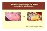 Impacto en la prevención de las neumonías en el ganadocongresobovinoscarne.com/app/webroot/.../Dr.ArturodelaFuenteSalzar.pdf · Expresa en su superficie factores de virulencia que