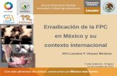 Erradicación de la FPC en México y su contexto …conasamexico.org.mx/conasa/2011_docs_19a_reunion/... · Descuidos en la bioseguridad. •Zona afectada.- Una granja con varios