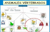 ANIMALES VERTEBRADOS - El profe de Naturales · Animales Vertebrados Su cuerpo se compone de.. Se caractenzan por tener Columna Vertebral tienen mas pul tienen ones Cabeza tienen