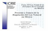 Presente y Futuro de la Regulación del Gas Natural en México · Presente y Futuro de la Regulación del Gas Natural ... 27 Constitucional en el Ramo del Petróleo Reglamento de
