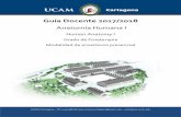 Guía Docente 2017/2018 - cartagena.ucam.educartagena.ucam.edu/sites/cartagena.ucam.edu/files/estudios/... · Identificar y relacionar cada una de las estructuras que componen el