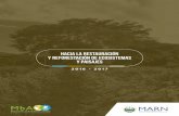 Hacia la restauración y la reforestación de ecosistemas … la restauración y... · 9 Revertir la degradación ambiental y reducir la vulnerabilidad del país frente al cambio