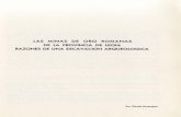  · noroeste de España en la politica que siguieron los roman0S al Organizar esta ... del sitio donde en 1971 el pico de los ... las Médulas del Bierzo, ...