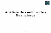 Análisis de coeficientes financieros - Marcelo A. Delfinomarcelodelfino.net/notas/Ratios.pdf · Análisis de coeficientes financieros Tradicionalmente, esos coeficientes financieros