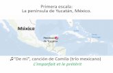 puesta de sol Sian Ka'an – Yucatan: Boca Paila al sur …ekladata.com/CI3uylsXC28Jb3YNbvWPIjdyVTE.pdf · México Cuba Santo Domingo C Península de Yucatán Primera escala: La península