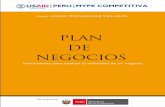 PLAN DE NEGOCIOS - Gobierno Regional Cusco · 2017-11-27 · Plan de Negocios USAID/Perú/MYPE CoMPEtItIvA 3 Capítulo 01 KAREN WEINBERGER VILLARáN Herramienta para evaluar la viabilidad