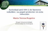 Actividad anti-VIH-1 de factores solubles: su papel ... · Una Universidad investigadora, innovadora y humanista al servicio de las regiones y del país Actividad anti-VIH-1 de factores