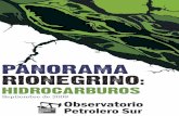 2009.09.11 - Panorama Rionegr - Observatorio … · Entre ellas se encuentran Sefepa (Tren patagónico), Aguas Rionegrinas (ARSA), Canal 10, Alta ... reforma de la Constitución Nacional,