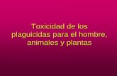 Toxicidad de los plaguicidas para el hombre, animales y ...ecaths1.s3.amazonaws.com/terapeutica/Toxicidad.de.los.Plaguicidas... · Nada es veneno, todo es veneno: la diferencia está