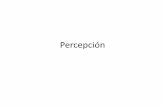 Percepción - paginaspersonales.unam.mxpaginaspersonales.unam.mx/files/4339/Asignaturas/1012/Archivo2... · • Disparidad retiniana • Convergencia: sensaciones procedentes de los
