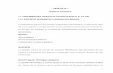 CAPITULO I MARCO TEORICO - Repositorio …repositorio.ug.edu.ec/bitstream/redug/750/2/tesis...3 manifestaciones desaparecen cuando se administra tratamiento antibiótico apropiado.
