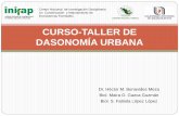 CURSO DE DASONOMÍA URBANA - Areas Verdes y …areasverdesyarboladourbano.com.mx/wp-content/curso/... · No obstante lo anterior, genera una serie de beneficios y servicios ... palmas,