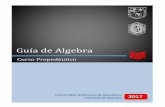 Guía de Algebraquimica.uaq.mx/docs/Guía Propedeutico Algebra 2017.pdf · 2017-02-03 · Guía de Algebra – Curso Propedéutico 2017 Universidad Autónoma de Querétaro. Facultad