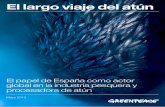 El largo viaje del atún - archivo-es.greenpeace.orgarchivo-es.greenpeace.org/espana/Global/espana/report/oceanos/... · hasta 10ºC, e incluyen el bonito del Norte y el atún rojo