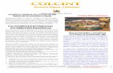 Madrid 1º de Febrero de 2003. Edición 001 COLCINT … · Putumayo y las hamacas de la Costa Caribe de Colombia, productos que tuvieron una ... Alcalde en 2001 y 2004 un proyecto