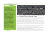 Libros Amigos de los Bosques - archivo …archivo-es.greenpeace.org/.../other/bolet-n-proyecto-libro-amigo-d.pdf · representa un hito en el compromiso de las administraciones públicas