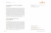 trombosis venosa yugular Emmanuel Solís-Ayala,1 …cmim.org/boletin/pdf2014/MedIntContenido01_11.pdf · trombosis venosa yugular externa ... sa profunda de miembros pélvicos, la
