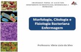 Morfologia, Citologia e Fisiologia Bacteriana Enfermagem · Ácidos graxos Comp. hidrofóbicos ... proteínas e ácidos nucleicos. Oxigênio (O 2, H 2 ... Muitos microrganismos são