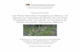 Las Áreas Naturales Protegidas en México. Un ejemplo de ... · Instituto de Ciencia y Tecnología Ambiental Universidad Autónoma de Barcelona Bellaterra, Septiembre 2006 ... 6.3.2