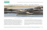 Turismo de humedales: Túnez – El Lago Ichkeul - … · pastoreo y explotación de canteras representan problemas constantes de gestión para el Parque. Los impactos derivados del