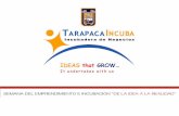 ¿Qué es TARAPACA INCUBA? - peruincuba.netperuincuba.net/portal/pdfs/2008/23.pdf · Basadre –Tacna Perú Exposición en Seminario de ... Minas, Petróleo, Canteras 1 1% Servicios